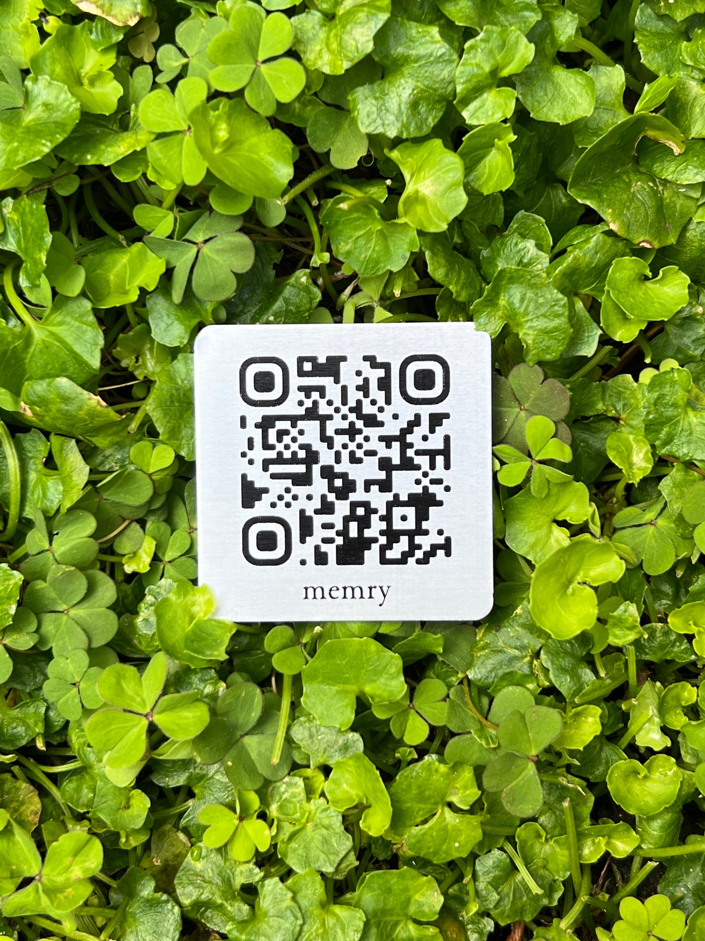 Memry QR Code Only